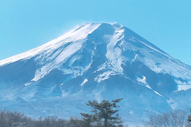 1 Day Private Mt Fuji Sightseeing Tour Car/Van With “English Speaking Driver” - Pricing and Pickup