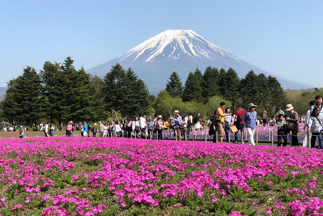 1 Day Private Mt Fuji Sightseeing Tour Car/Van With “English Speaking Driver” - Traveler Photos