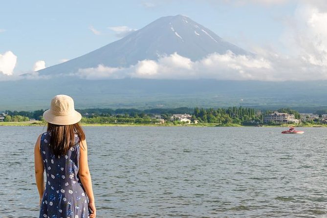 1 Day Private Mt Fuji Tour (Charter) - English Speaking Driver - The Sum Up