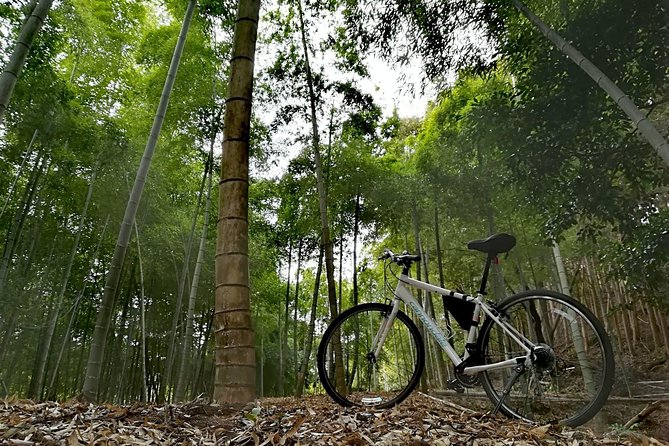 Kyoto Bamboo Grove Morning Bike Tour - Traveler Photos and Customer Reviews