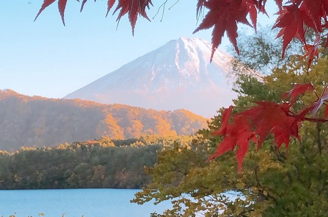 1 Day Private Mt Fuji Sightseeing Tour Car/Van With “English Speaking Driver” - Booking Information