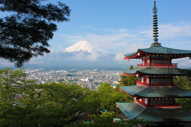 1 Day Private Mt Fuji Tour (Charter) - English Speaking Driver - Fleet and Amenities