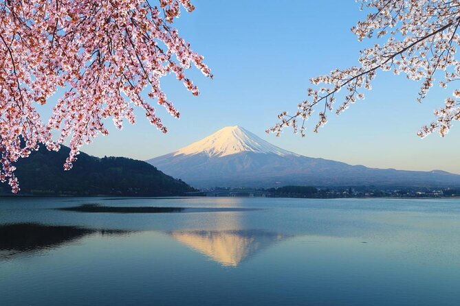 1 Day Private Mt Fuji Tour (Charter) - English Speaking Driver - Quick Takeaways