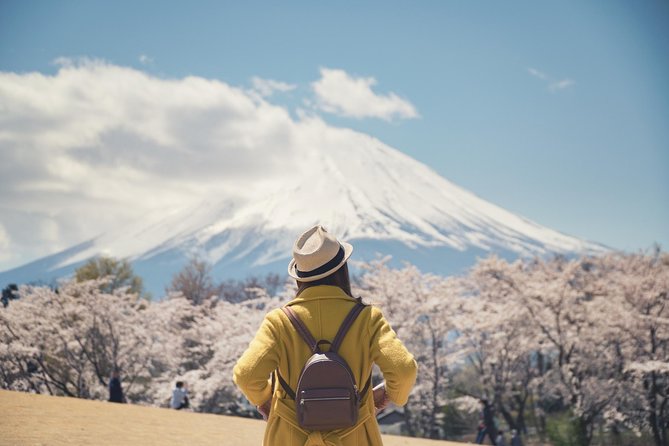 1 Day Private Mt Fuji Tour (Charter) – English Speaking Driver