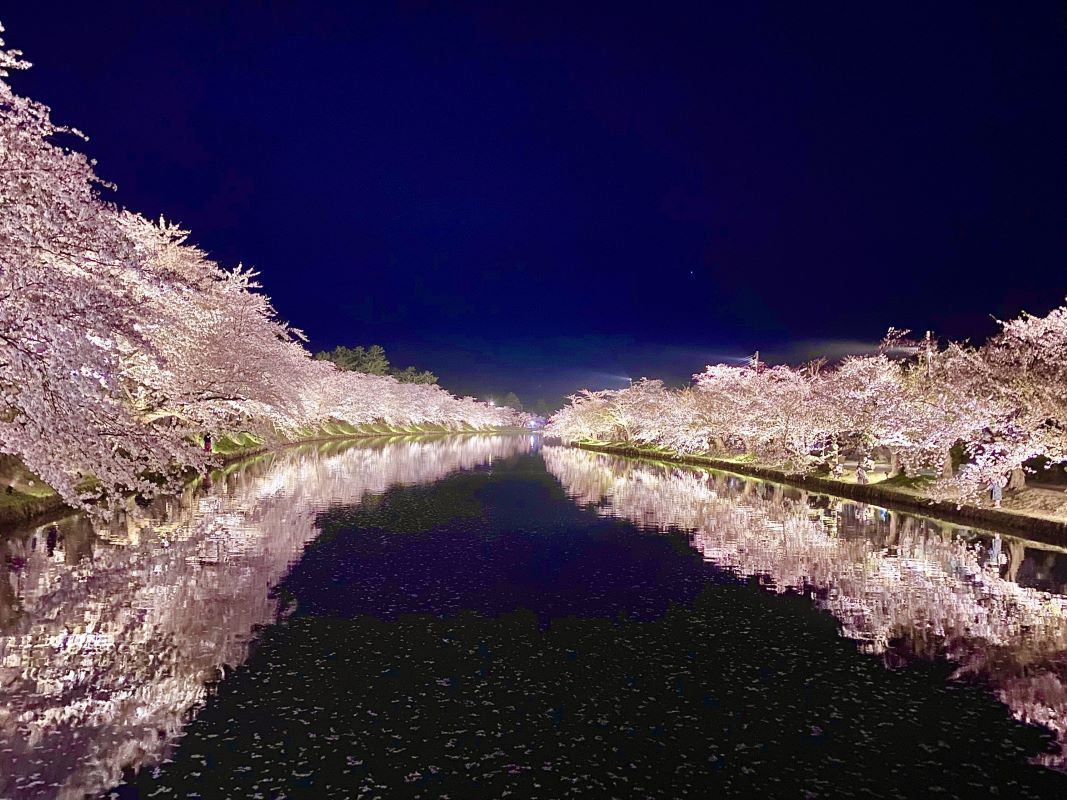 Hirosaki Cherry Blossom Festival