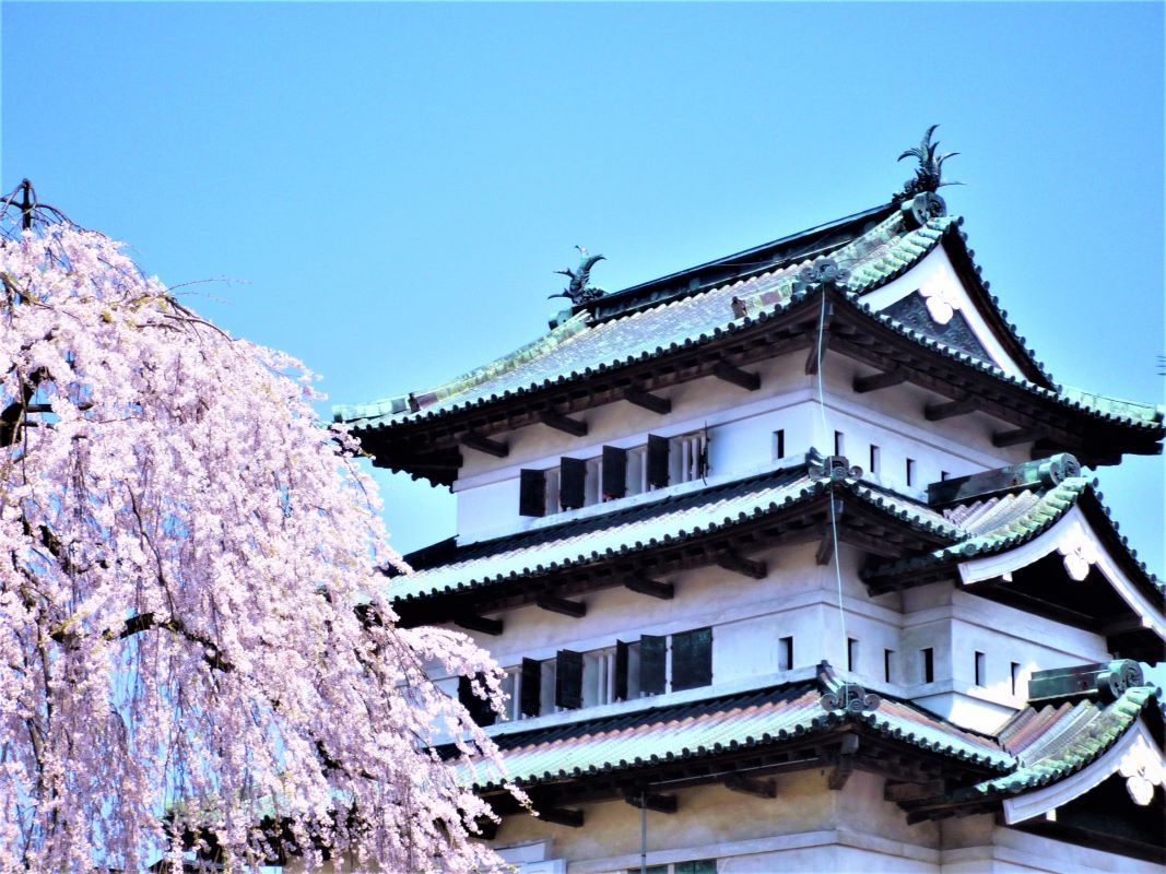 Hirosaki Cherry Blossom Festival